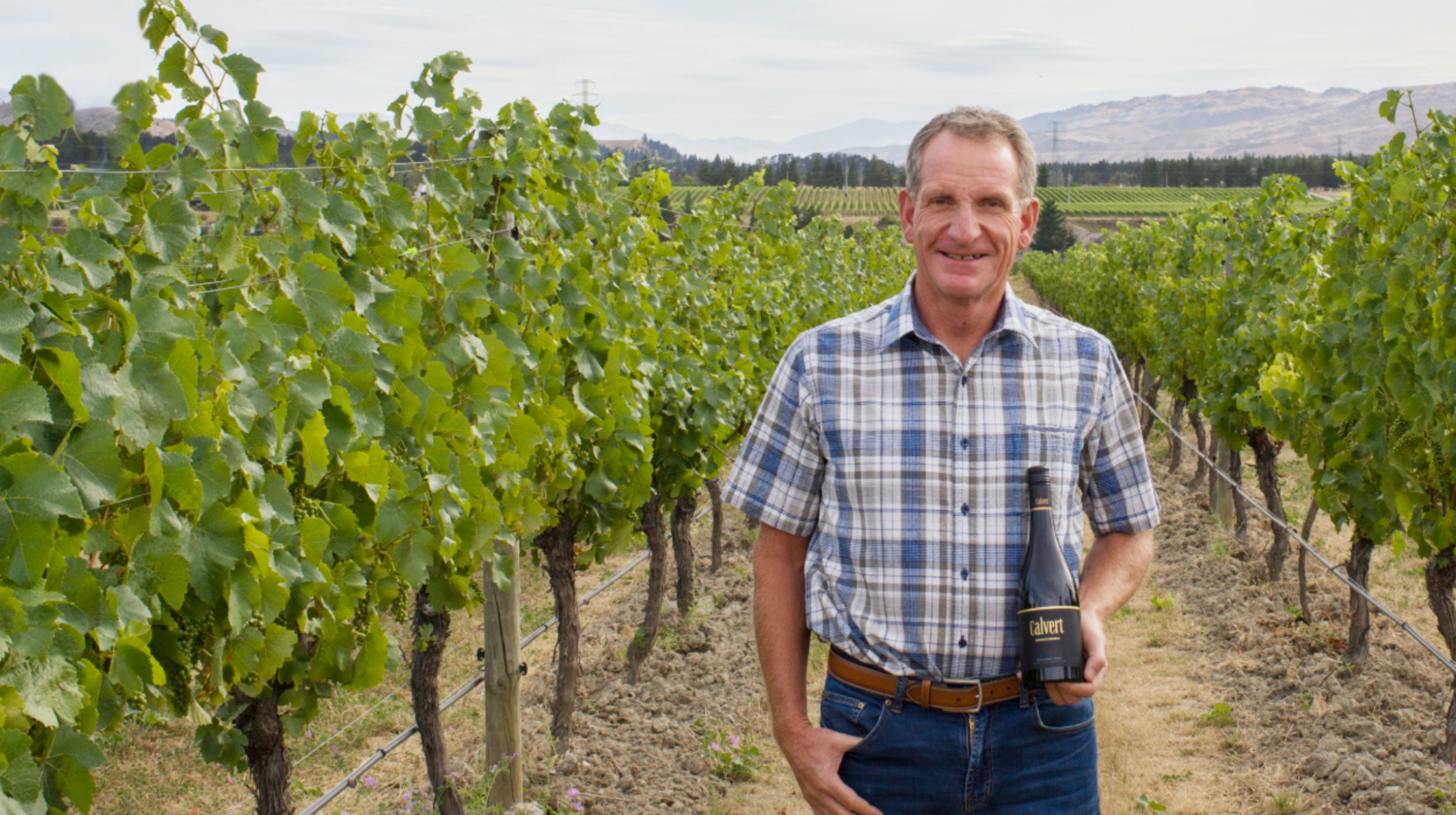 Central Otago NZ Pinot Noir wine | Calvert Vineyard