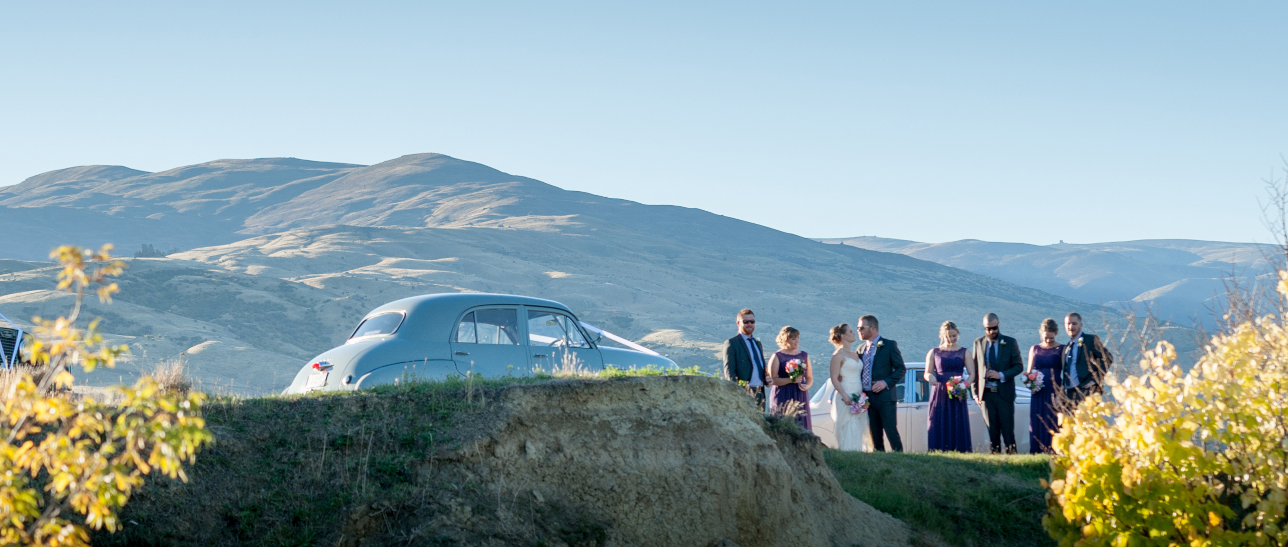 Events in the Vineyard