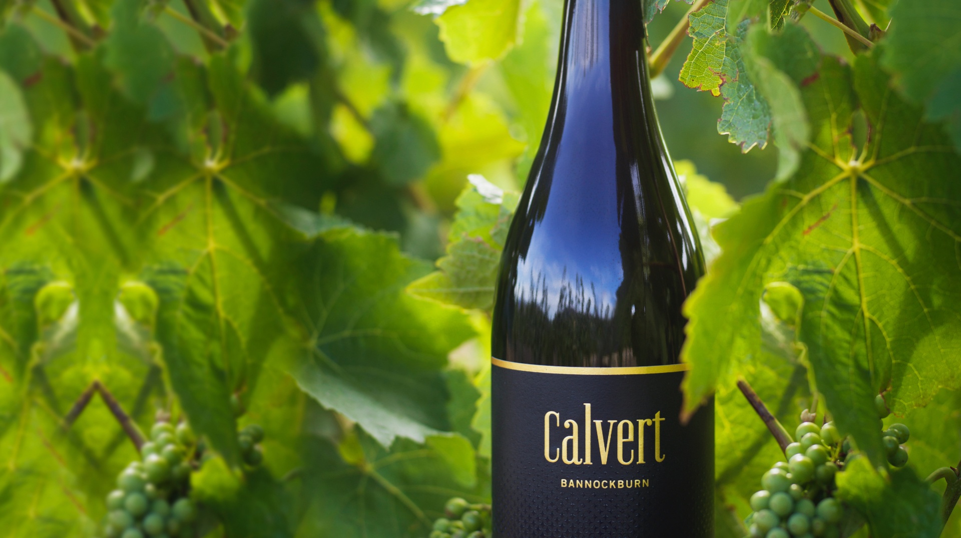 Calvert Vineyard at Bannockburn
