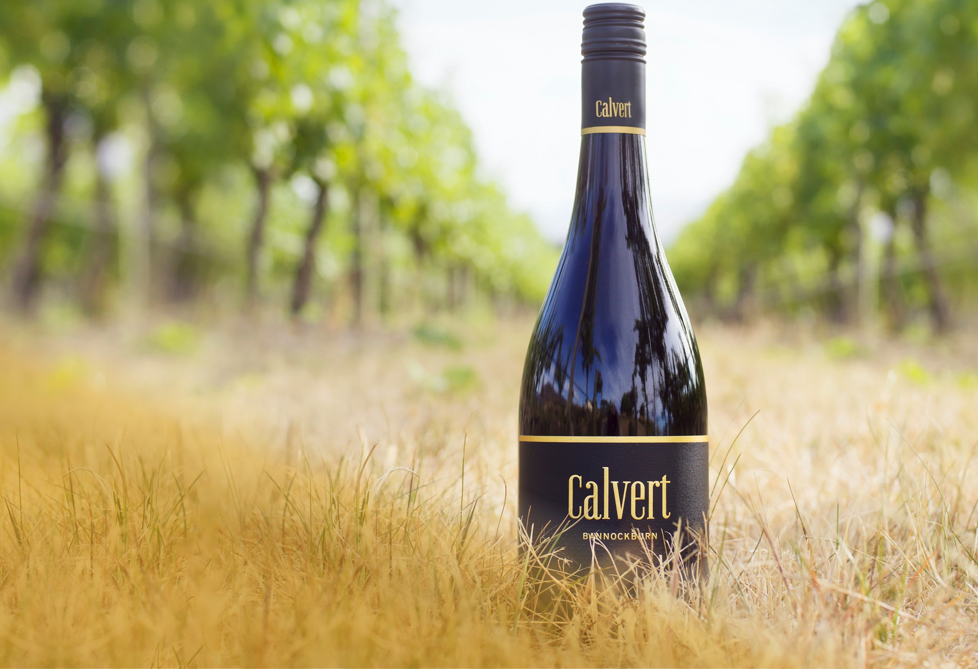Calvert Vineyard, Bannockburn