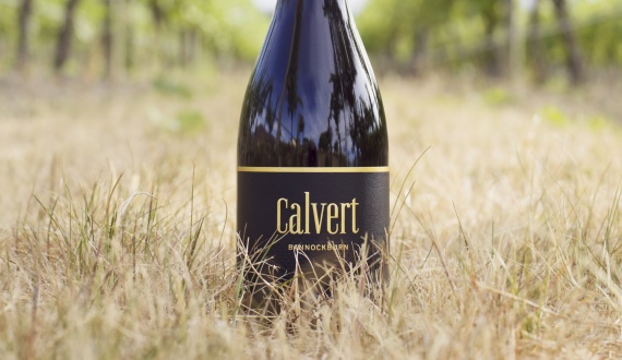 Inaugural Calvert Pinot Noir — 2018 home-block vintage