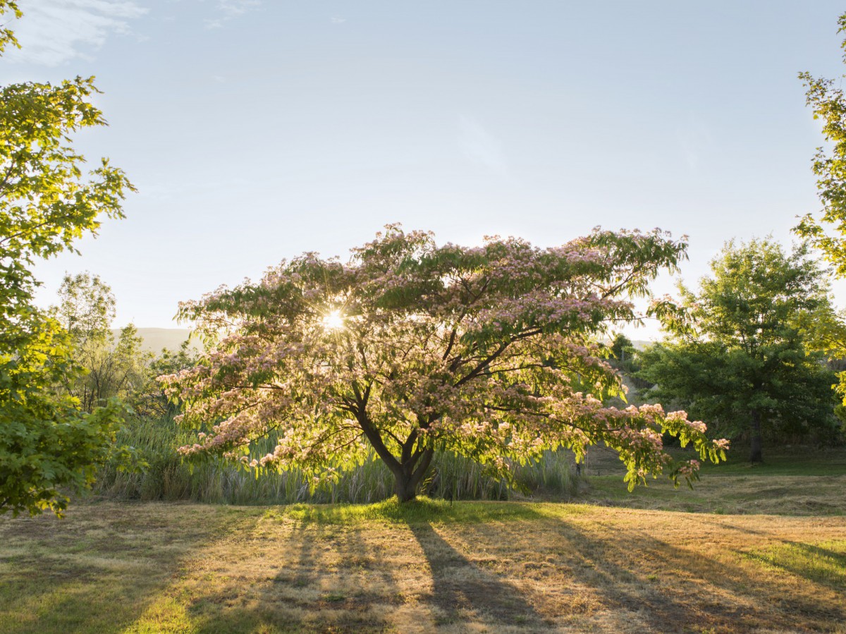 The Central Park — Calvert Vineyard event space