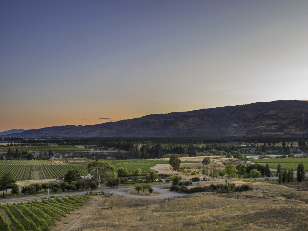 Aerial view of Bannockburn at dusk — vine rows, Felton Road, and the ranges beyond